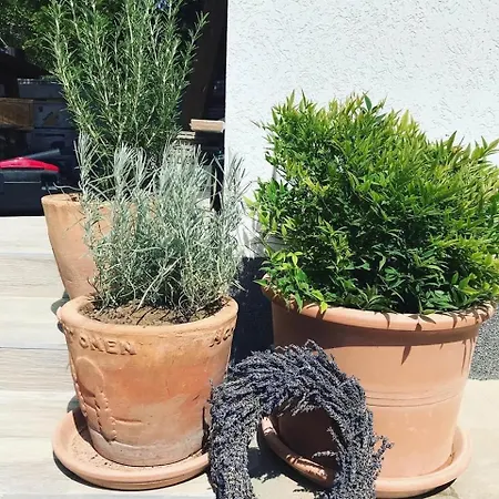 Mokus Apartmanhaz 度假居 巴拉顿扎佐