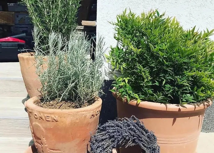 Mokus Apartmanhaz Tatil Evi Balatonszarszo